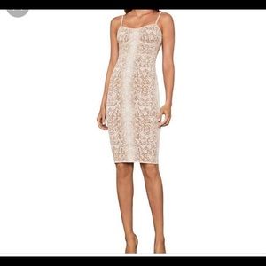 Size S BCBG bandage snakeskin bodycon dress NWT gorgeous